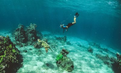 Mergulho com cilindro em Florianópolis