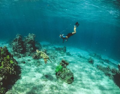 Mergulho com cilindro em Florianópolis
